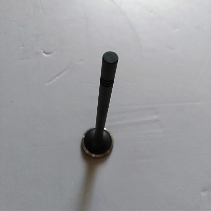15SU41ENGINE Valve for MG350 OEM 10049010 10049011 — photo 3