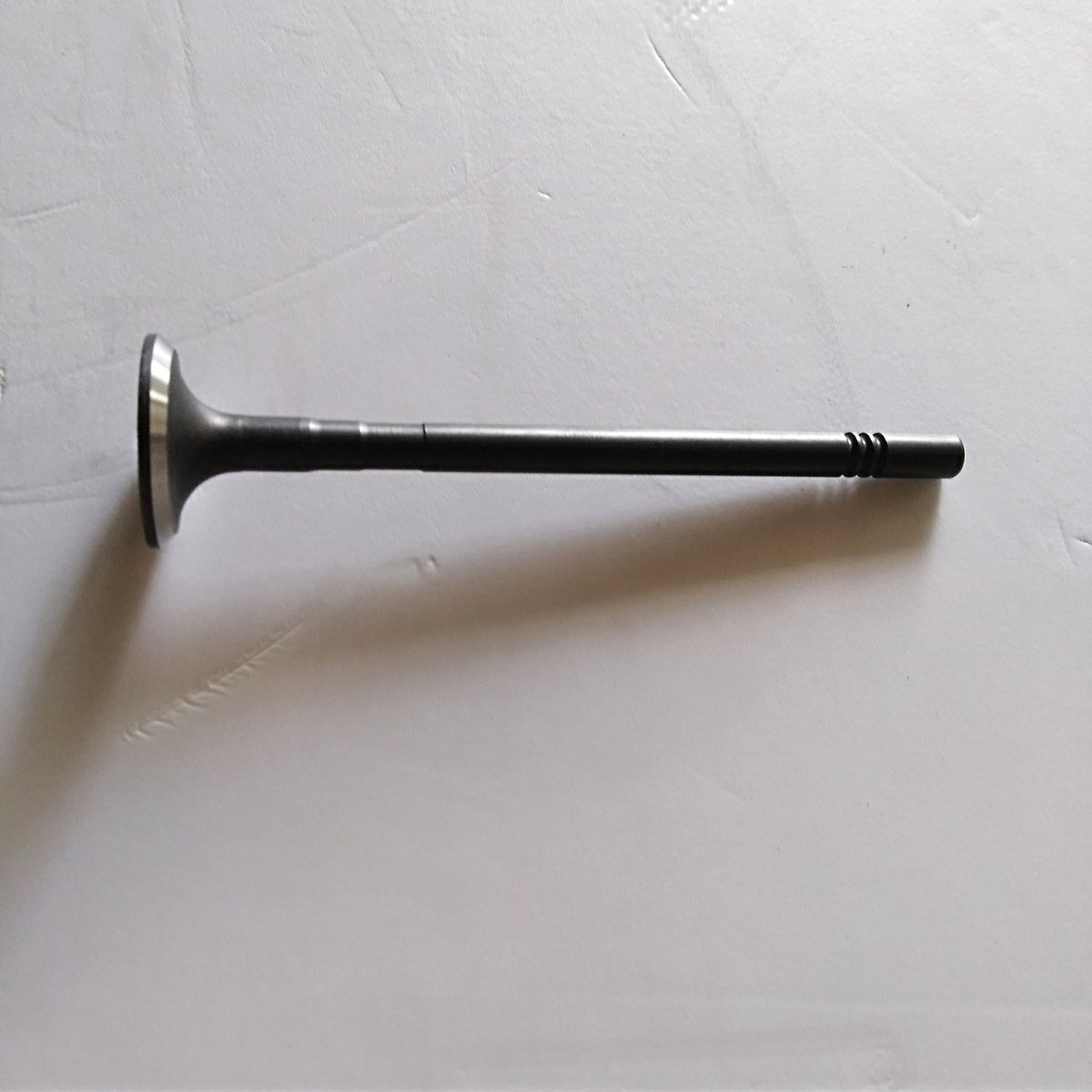 15SU41Engine Valve for MG350 OEM 10049010  10049011