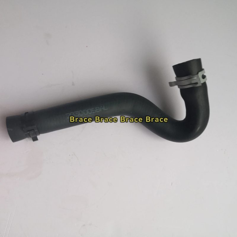2030005BAL0000 10090052040000 Oil Water Separator Breathe Hose CRP Crankcase Breather Hose for Trumpchi GA8 2016- — photo 2