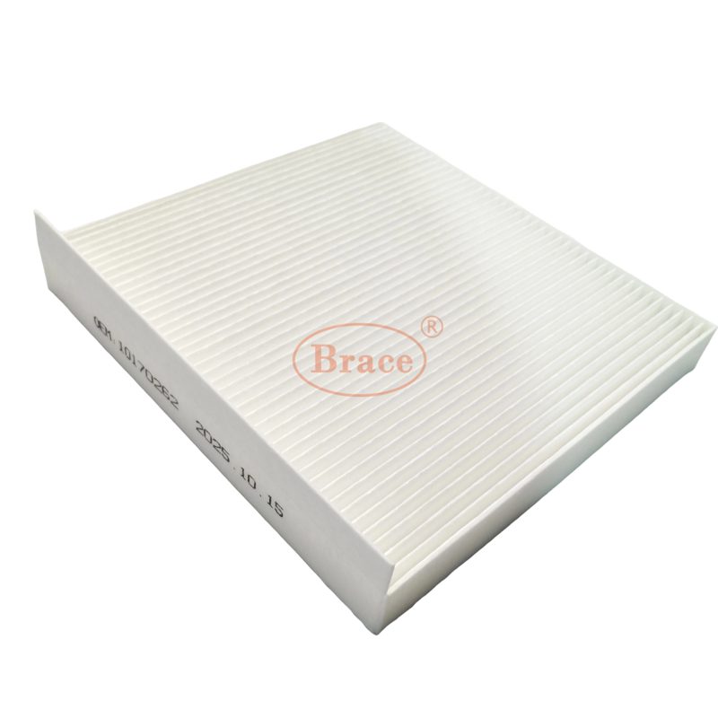 Air Conditioning Filter for MGRX5 OEM: 10170262 — photo 3