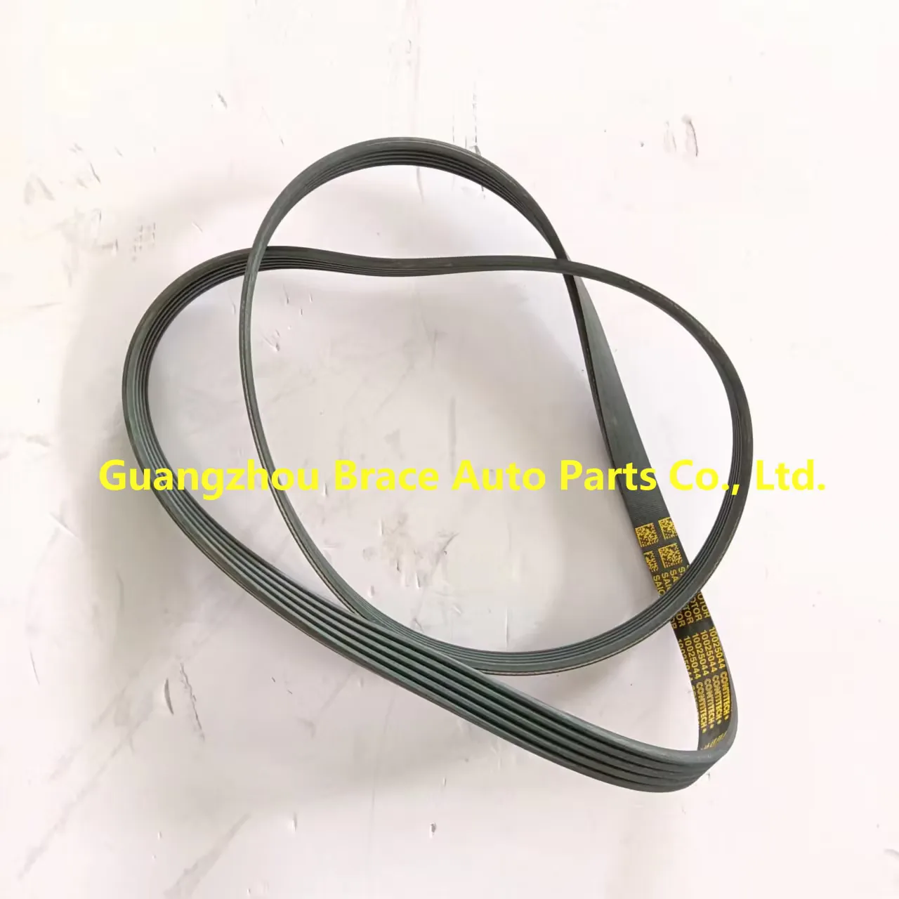 Alternator Belt for MG 350 MG3 OEM 10045454