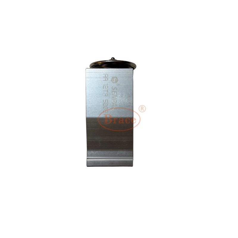 Auto Car Parts Air Conditioning Valve for Great Wall Haval H6 OEM:8106000XK90XA — photo 3