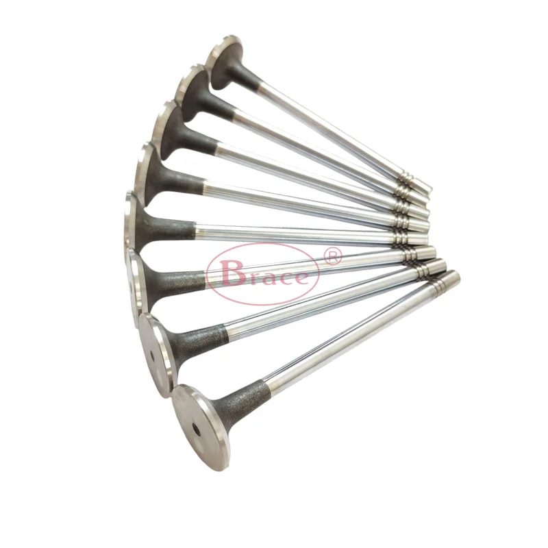Auto Parts Exhaust Valve Suitable for JAC X200 X190725 — photo 3