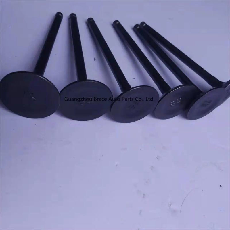 Auto Parts Intake Valve and Exhaust Valve for FAW Xiali N3 N3+ Engine 3GA2 — photo 2