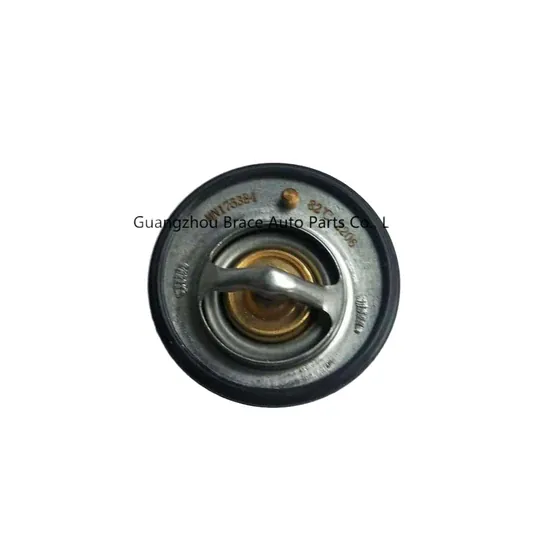 Auto Parts Original Thermostat for Zotye Z300