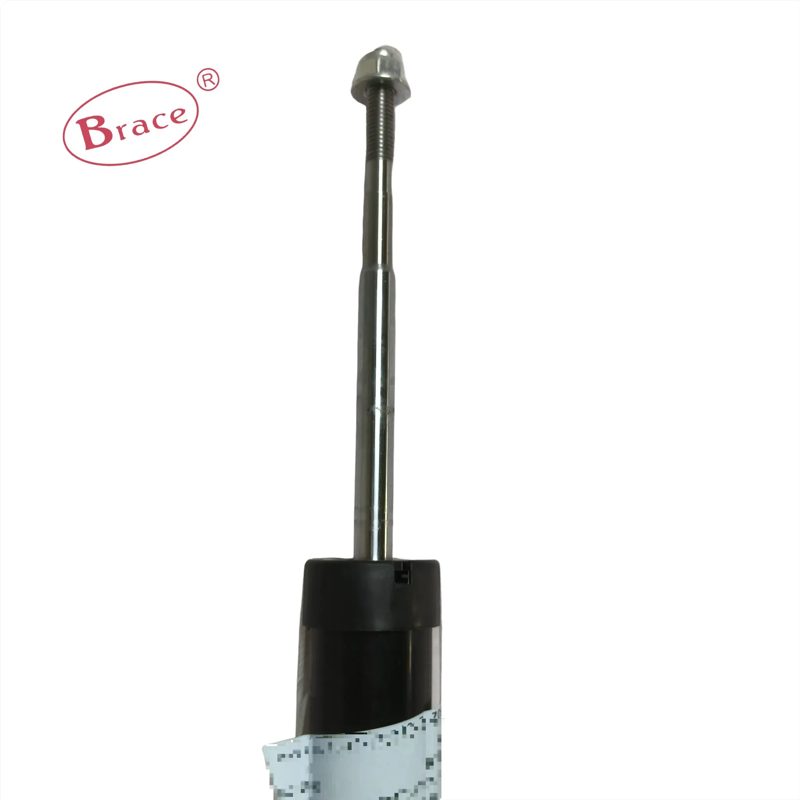 Auto Parts Rear Shock Absorber Suitable for BAIC D20 — photo 4