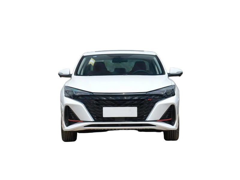 Brace Auto Spare Parts Chinese Auto Accessories for Changan Eado / Eado Plus CX70 — photo 2