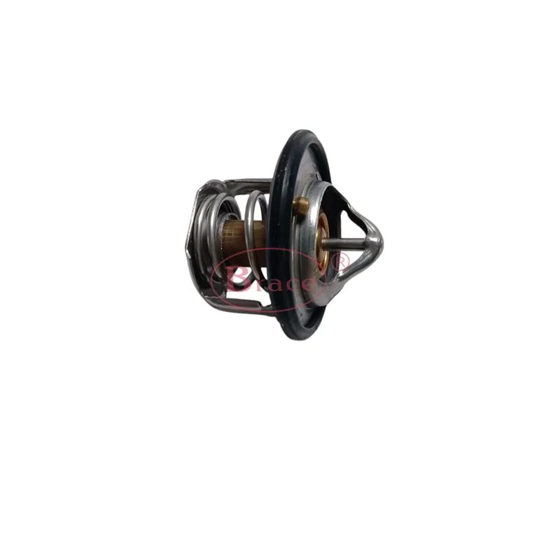Brace Thermostat For Baic Senova D20 — photo 2