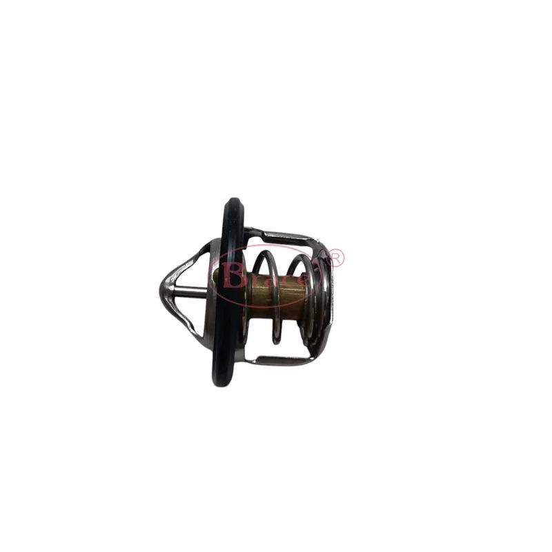 Brace Thermostat For Baic Senova D20 — photo 3