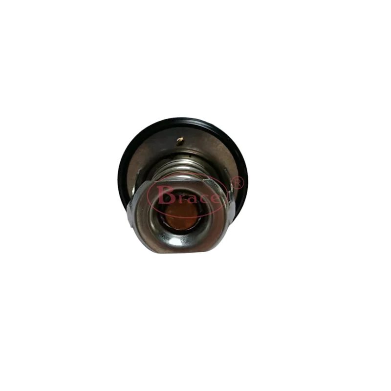 Brace Thermostat For Baic Senova D20 — photo 4