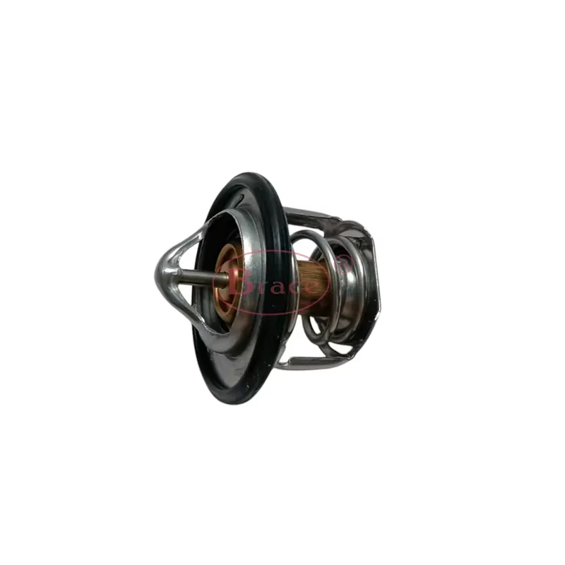 Brace Thermostat For Baic Senova D20 product photo