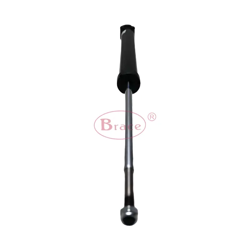 Car Rear Shock Absorber for Baic X25 product photo