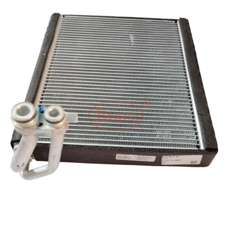 Evaporator for Eado OEM: 8100110-Bn01 — photo 4