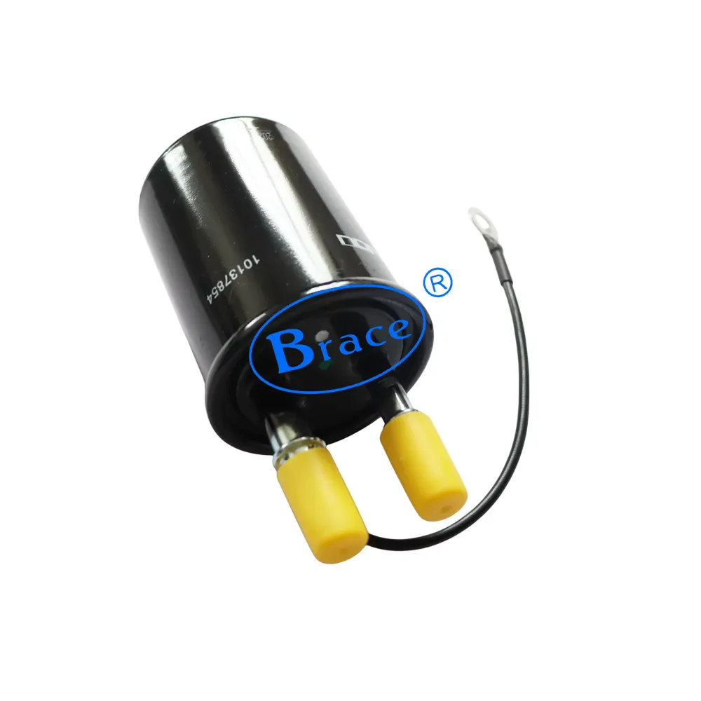 Fuel Filter for Mgzs OEM 10137854 product photo