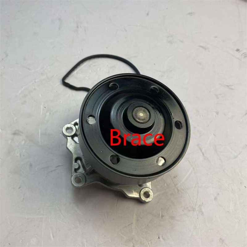 High Quality Water Pump for Trumpchi GM8 Gn8 OEM 10120232040000 — photo 4