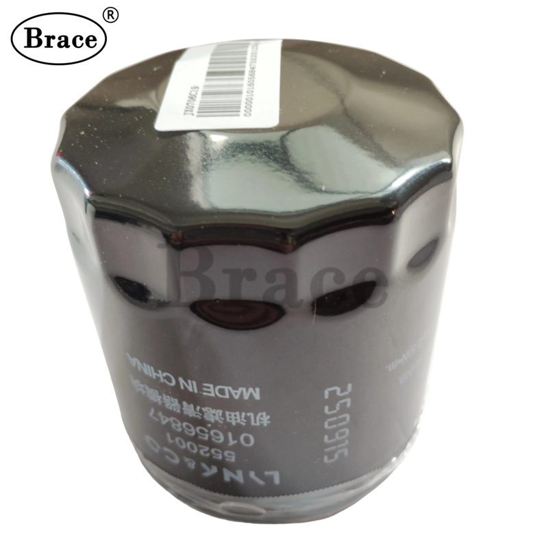 Oil Filter for EX7 / GC6 OEM: 1016056847 — photo 2