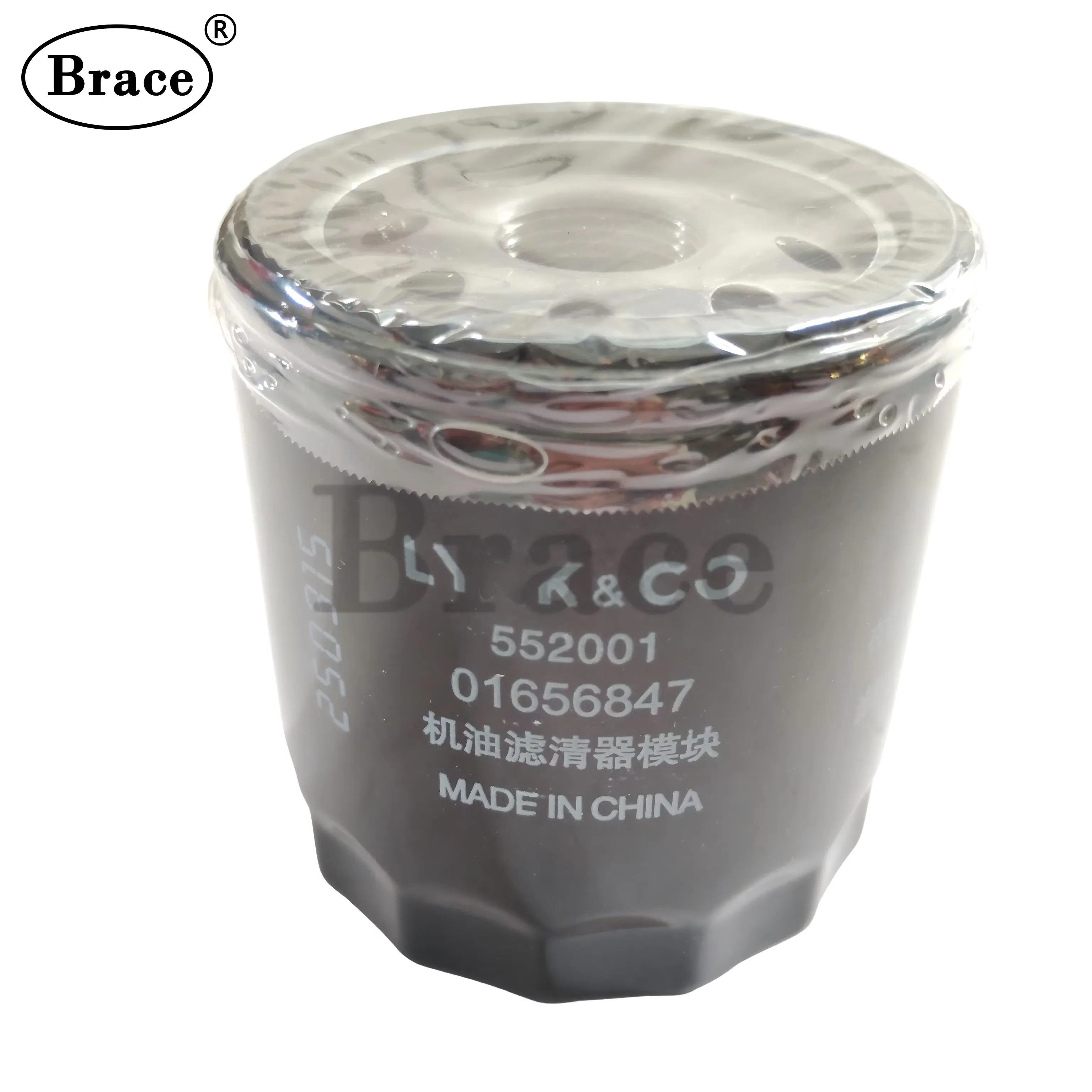 Oil Filter for EX7 / GC6 OEM: 1016056847 product photo