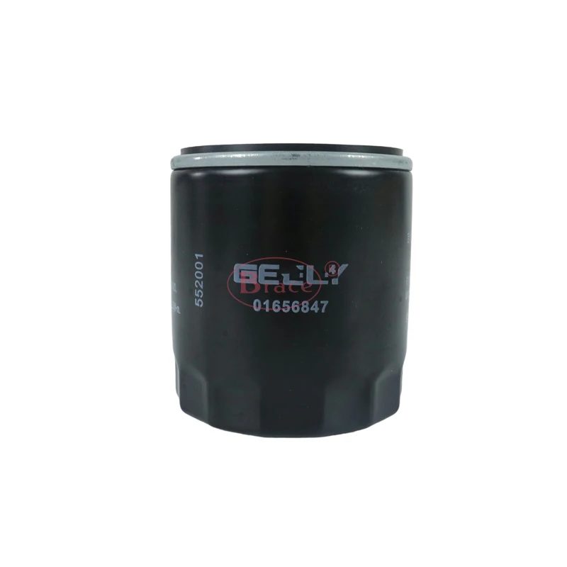Oil Filter for GEELY Binyu COOLRAY SX11 1016056847 — photo 2