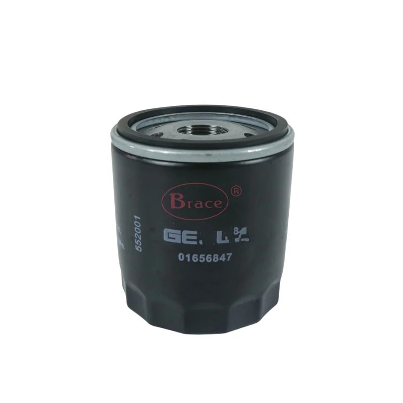 Oil Filter for GEELY Binyu COOLRAY SX11 1016056847 — photo 3