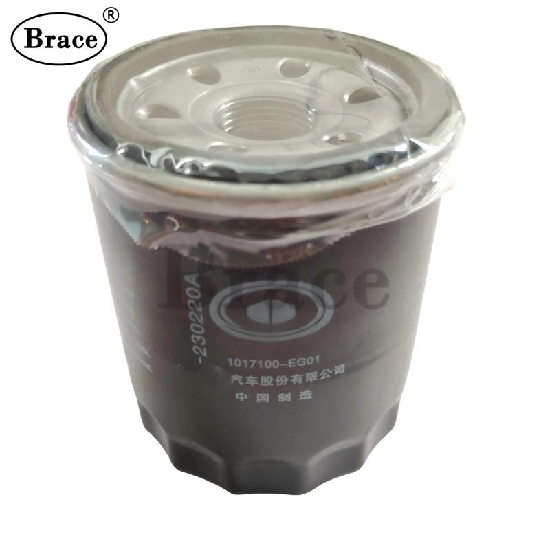 Oil Filter for Haval H2 OEM: 1017100-EG01 — photo 4