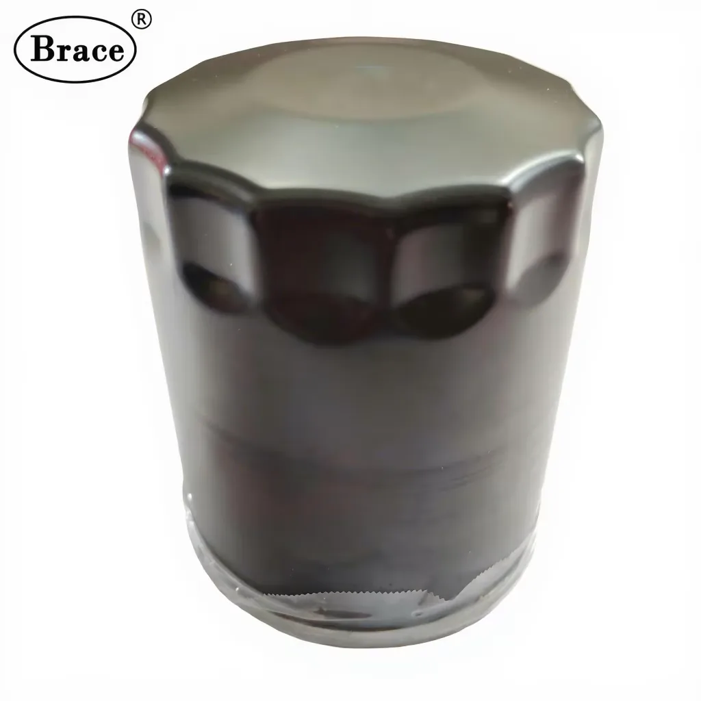 Oil Filter for Haval H2 OEM: 1017100-EG01 product photo