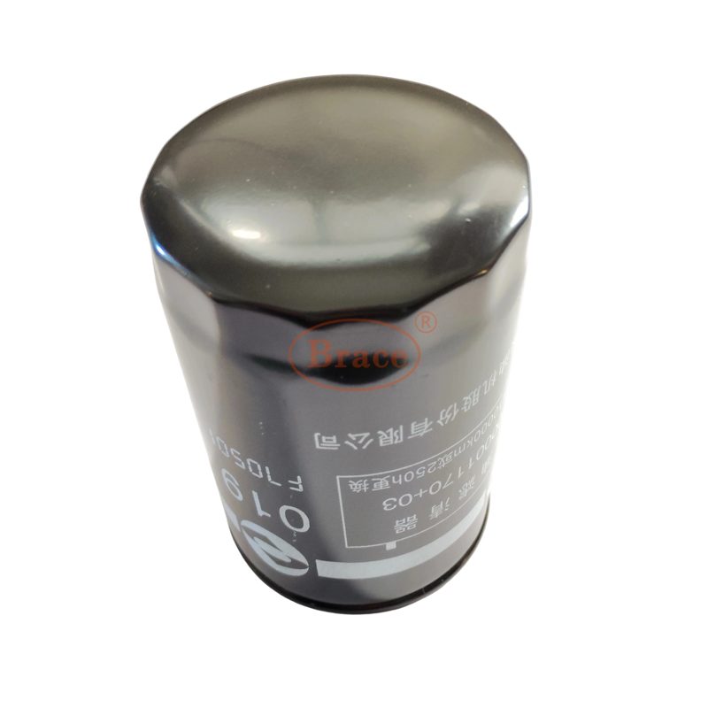 Oil Filter for MG T60 OEM: C00014634 — photo 4