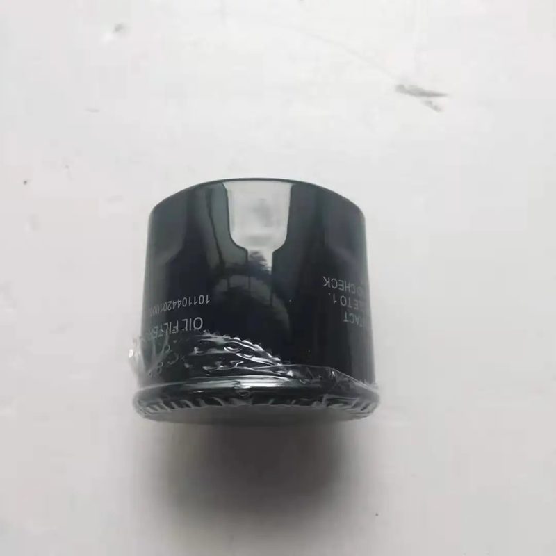 Oil Filter for Trumpchi GS8 10110442010000 — photo 3