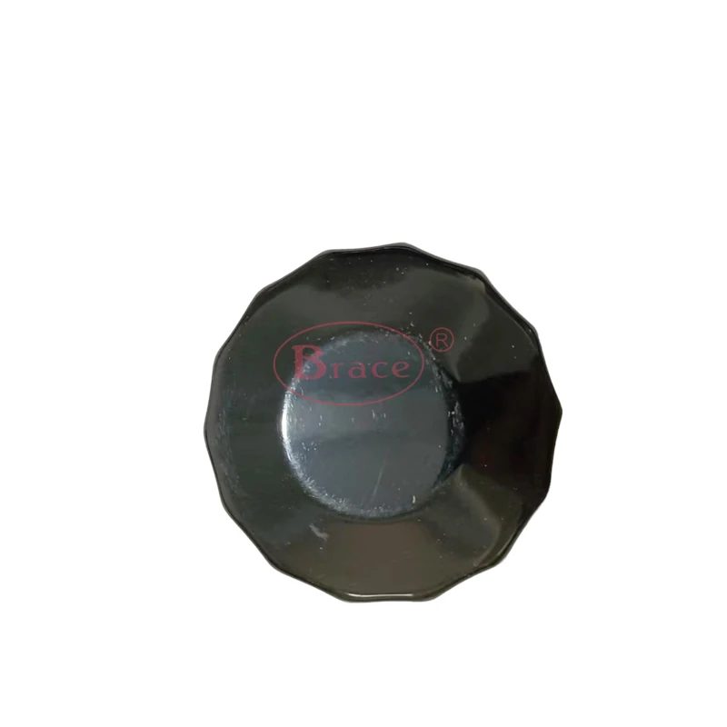 Oil Filter/Petrol Filter for Baic X35 Senova X35 — photo 3