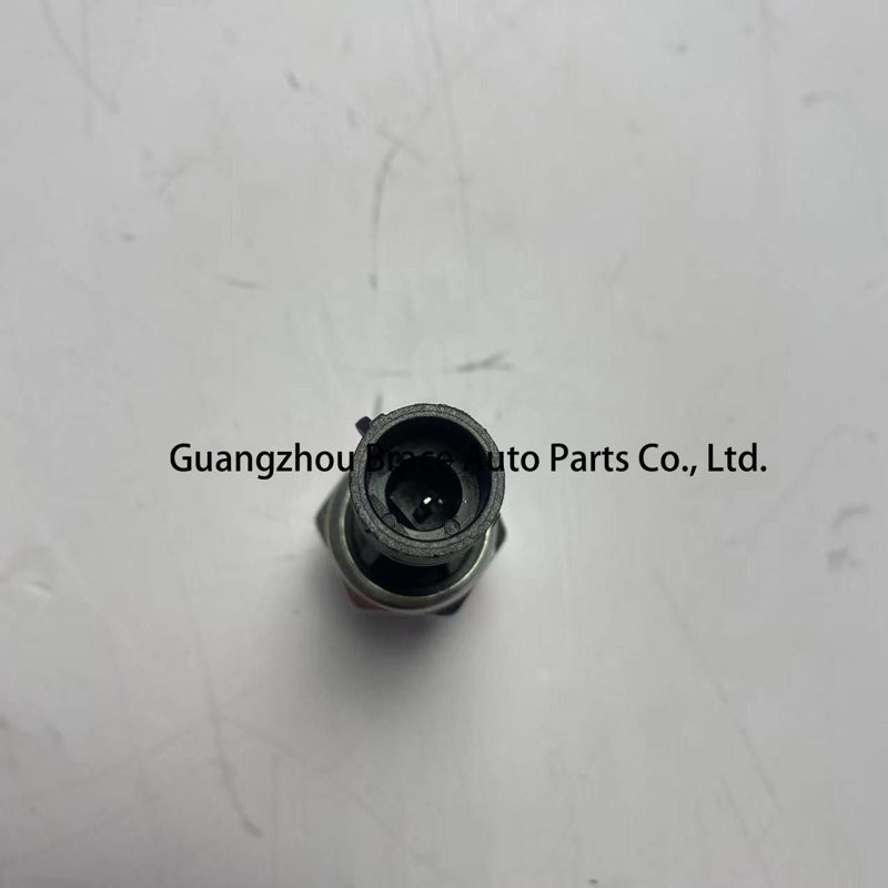 Oil Pressure Sensor for Trumpchi GS4 GS5 Ga5 Ga3 OEM 10130242010000 — photo 3