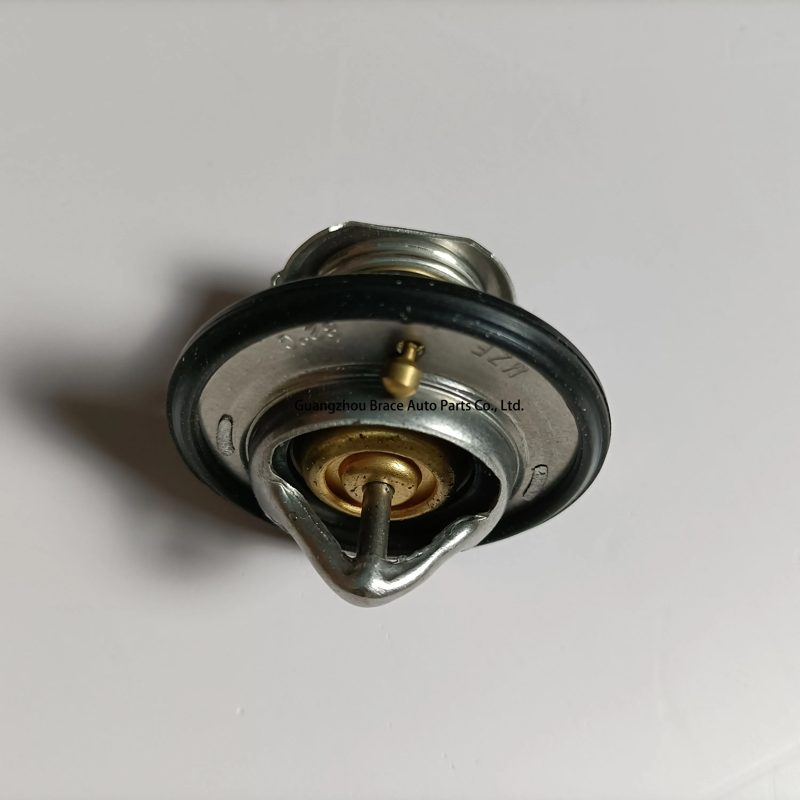 Original Thermostat for Baic D20 X25 D50 — photo 2