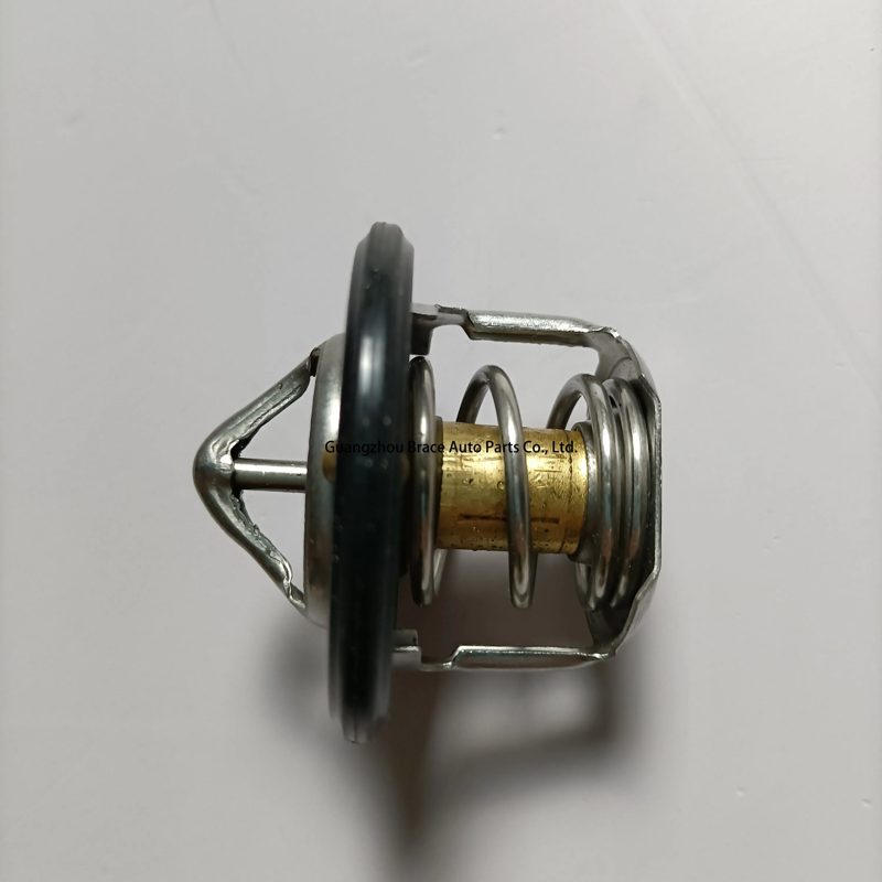 Original Thermostat for Baic D20 X25 D50 — photo 3