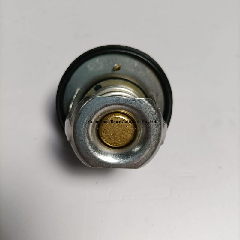 Original Thermostat for Baic D20 X25 D50 — photo 4