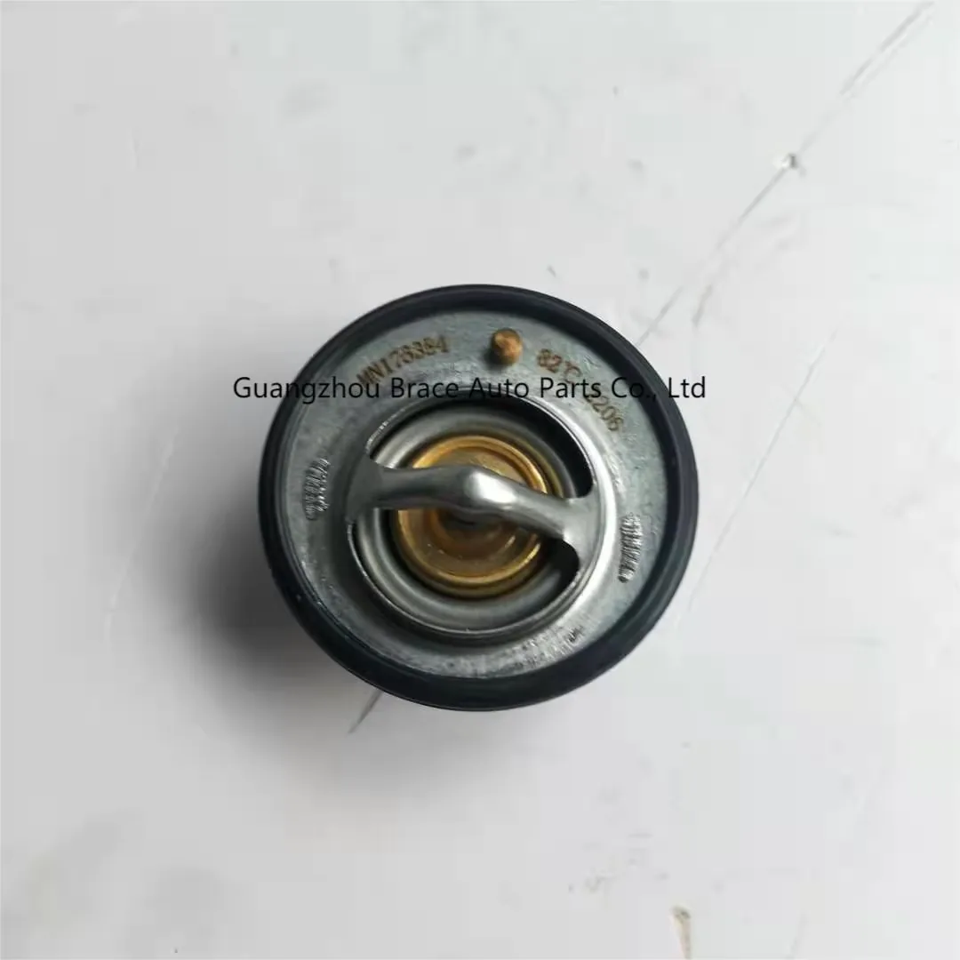 Original Thermostat for Zotye Z300