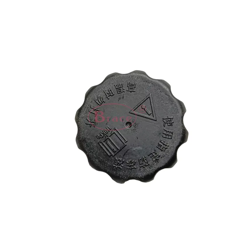 Plastic Radiator Cover Water Tank Cover for DFSK Dongfeng Glory 580