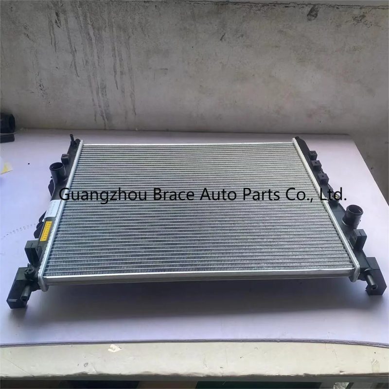 Radiator Water Tank for DFSK Fengon Glory 580 Pro OEM 1301110-SA07-A — photo 2